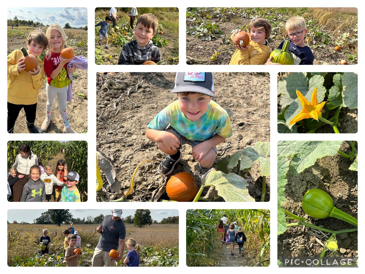 Madame Louise (@louise17adam) on Twitter photo A great field trip to Fruition Farm. So many pumpkins to pick from! 🎃 <a href="/FruitionBerry/">Fruition Berry Farm</a> merci Farmer Christine and Fermier Lucien ☺️ <a href="/EcoleMaple_LDSB/">École Maple Elementary School</a> A great field trip to Fruition Farm. So many pumpkins to pick from! 🎃 <a href="/FruitionBerry/">Fruition Berry Farm</a> merci Farmer Christine and Fermier Lucien ☺️ <a href="/EcoleMaple_LDSB/">École Maple Elementary School</a>