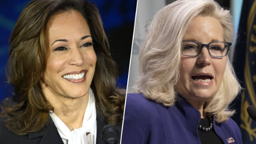 MSNOWNews's tweet photo. HAPPENING SOON: Liz Cheney joins Kamala Harris at campaign event in GOP birthplace in Ripon, Wisconsin.

WATCH: https://t.co/F0xdiysaiA https://t.co/9KfvBabqBO