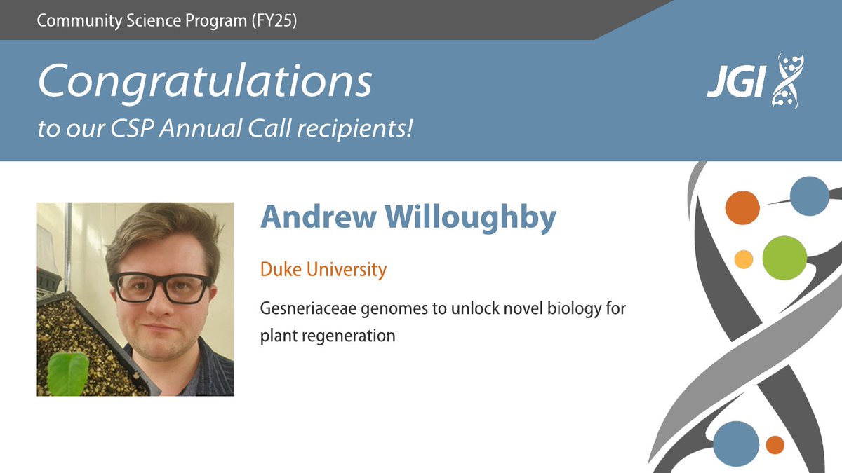 Joint Genome Institute (@jgi) on Twitter photo Streptocarpus plants can regrow easily. To unlock the secrets of plant regeneration <a href="/andrewilloughb/">Andrew Willoughby</a> of <a href="/DukeBiology/">Duke Biology</a> will explore its unique biology— potentially driving new strategies for overcoming regeneration barriers in bioenergy crops. <a href="/LabStrader/">Lucia Strader</a>
jgi.doe.gov/announcement-f… Streptocarpus plants can regrow easily. To unlock the secrets of plant regeneration <a href="/andrewilloughb/">Andrew Willoughby</a> of <a href="/DukeBiology/">Duke Biology</a> will explore its unique biology— potentially driving new strategies for overcoming regeneration barriers in bioenergy crops. <a href="/LabStrader/">Lucia Strader</a>
jgi.doe.gov/announcement-f…