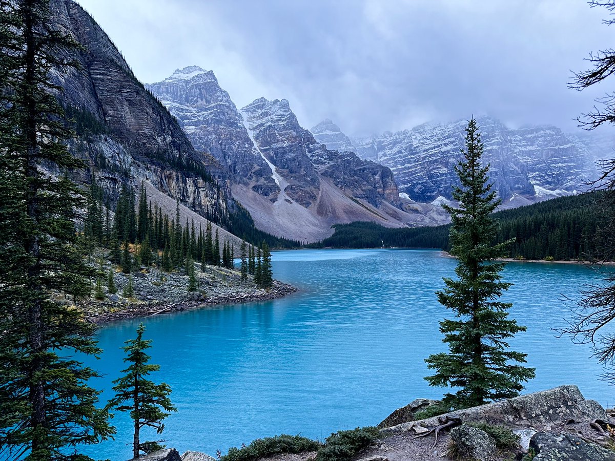 Ellen ✌🏻 tweet media