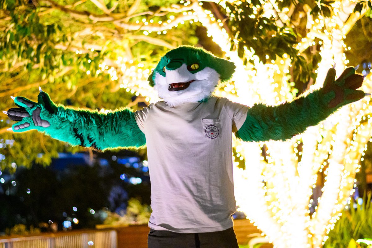 Yooo why my arms look so long in this xD 
#fursuitfriday #furryfandom #furry #fursuit #sergal