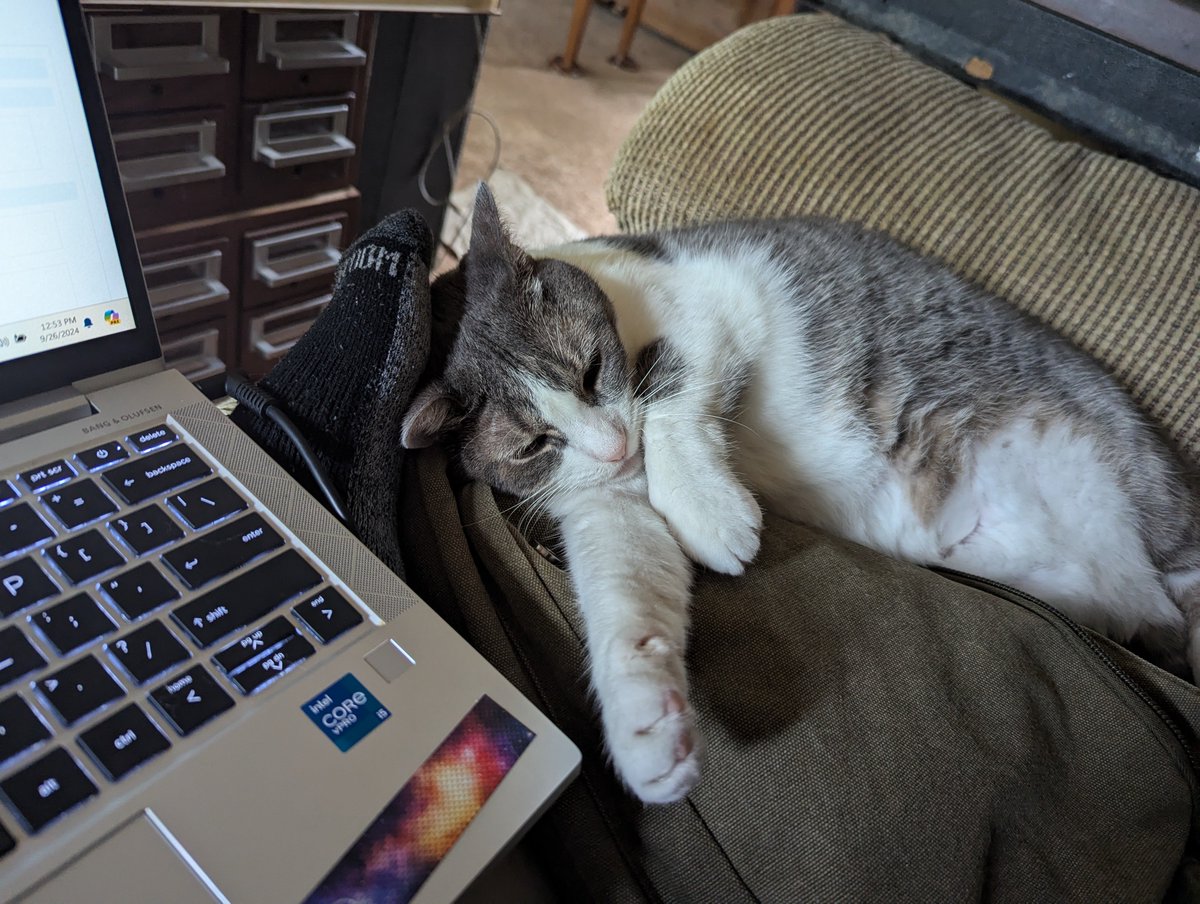Rocketcat09's tweet photo. Another day at work with Dora. https://t.co/4cznp4enXk