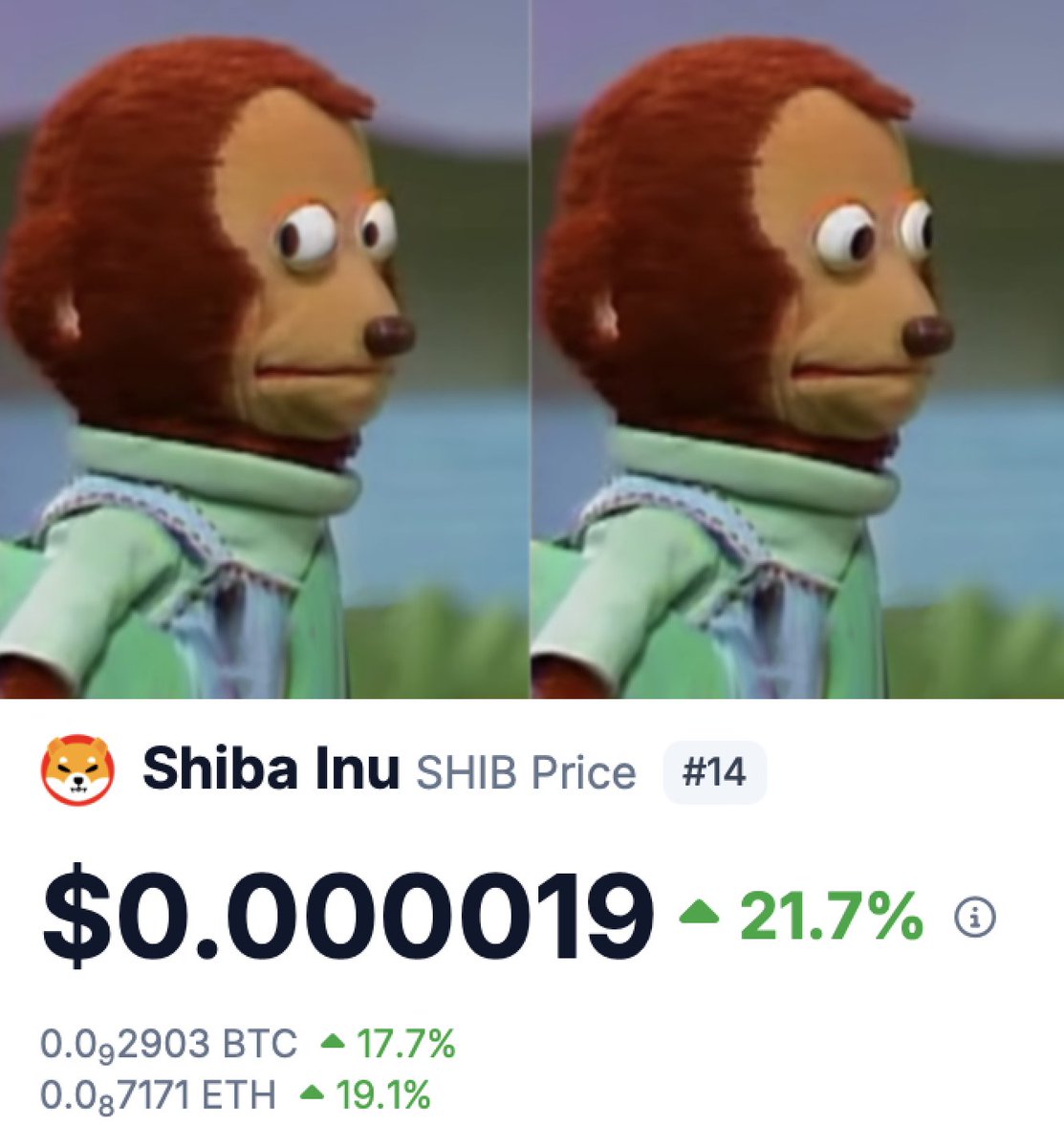 moonshilla's tweet photo. $SHIB + 21% just like that..

bears be like.. https://t.co/wfeVkVi7aj