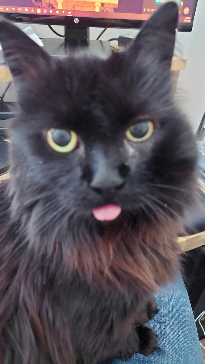 ThomJTK's tweet photo. Hurricane Update! 
Helene luckily is maneuvering westward from its initial path; but the vets office is located within a flood zone, so they've been evacuated just in case. We got Ebony's appointment rescheduled to Monday the 30th!

https://t.co/x1hq4H4dF0 https://t.co/duovMqaXNp