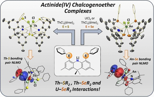 bhkenlo's tweet photo. Thorium(IV) and Uranium(IV) Thioether and Selenoether Complexes: Synthesis and An–ER2 (E = S, Se) Bonding Comparison | Inorganic Chemistry https://t.co/YqiougC3Z2 Gray and Emslie @InorgChem #thorium #uranium #thioether #selenoether #AnER2 #ENE #donor #pincer #DFT #QTAIM https://t.co/AyCh5QhlJu