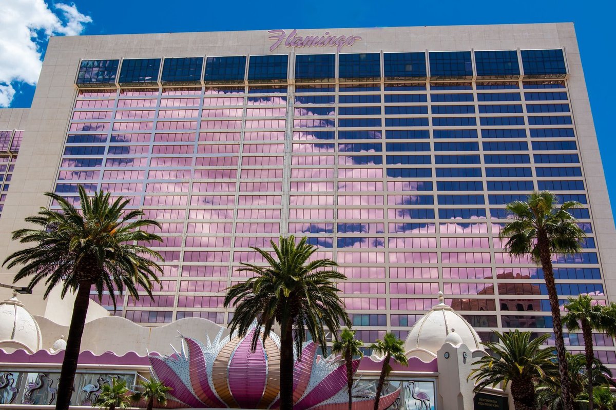 Flamingo Las Vegas tweet media