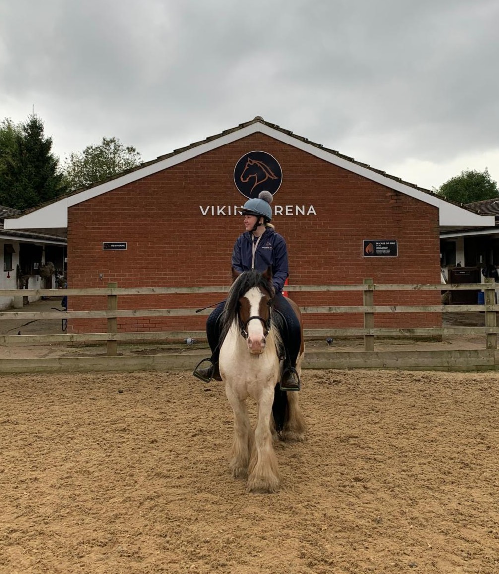 whridingschool's tweet photo. Our lovely Henley is now being used on the school! 🐴🥰

Our team have been working with Henley recently and getting him used to working in the riding school, Henley will now be used on lessons for our more advanced riders! 🐴❤�� https://t.co/yyMdn1rvKT