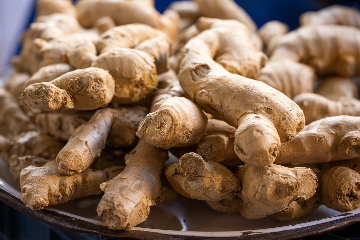 Dr_Royer's tweet photo. Ginger: The Health Benefits of Nature’s Healing Superfood 

Ginger, a spice revered for its bold flavor, has been used for centuries not only in cooking but also as a powerful medicinal root.
https://t.co/JmGA2CwlTS https://t.co/pcORumggr4
