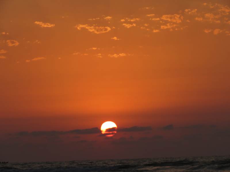 PiotcoTeam tweet media