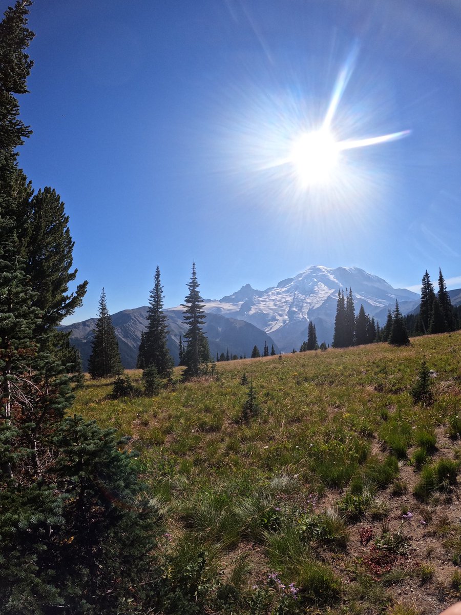 Tom Tomaszewski tweet media