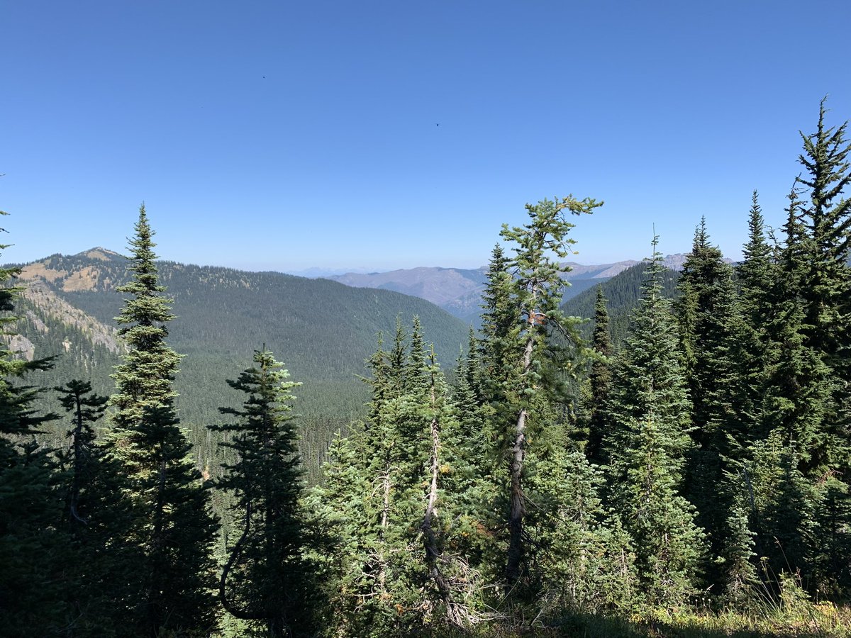 Tom Tomaszewski tweet media