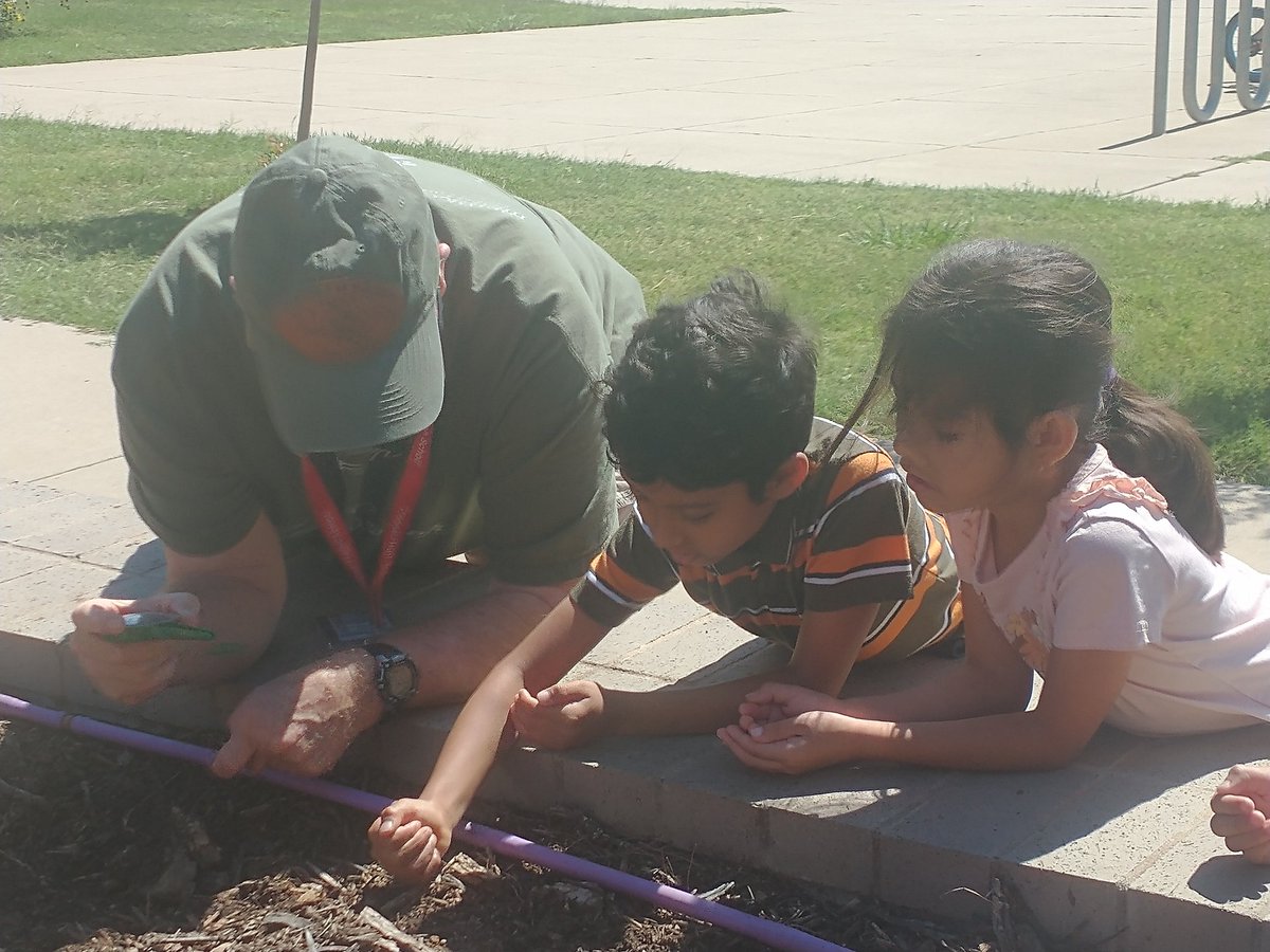 Erika Malcom, M.Ed. tweet media