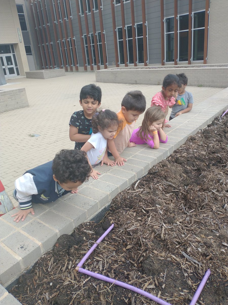 Gardening with <a href="/CISDFarmerLarry/">Farmer Larry</a> 

Kinder and 1st grade students learned all about carrots and planted their own seeds this week to see what they can grow
<a href="/CRECoyotes/">Canyon Ranch Elementary</a>