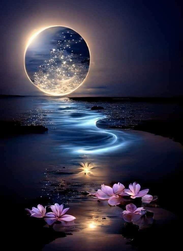 RITABIANCHi56 tweet media