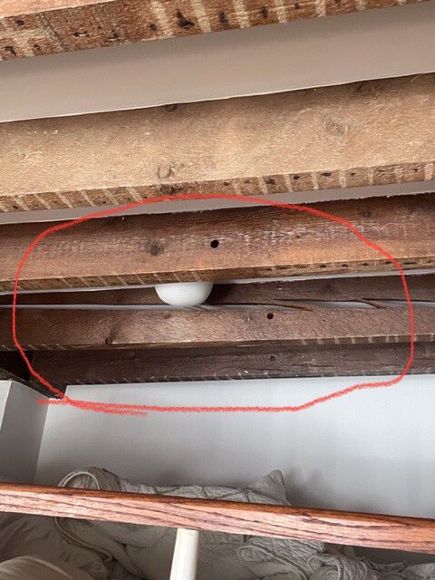 17993rd's tweet photo. 1/3 On or about 5/31/23, The Adams Administration directed #HPD Inspector Rodriguez to discharge our notoriously unscrupulous #Slumlord Slavik Gofman from #AEP Designation (= 1 of 250 MOST DISTRESSED #NYC BLDGS) despite multiple OPEN VIOLATIONS posing danger to health &amp; safety. https://t.co/fFi7mCaHCJ