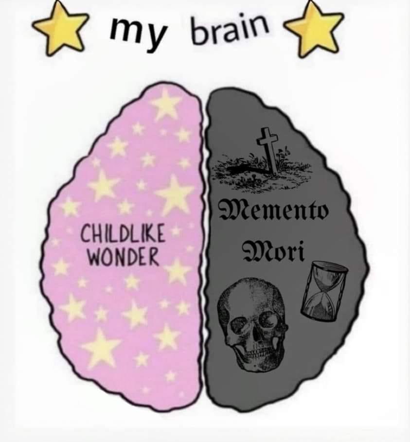 If I were to be summed up in a picture