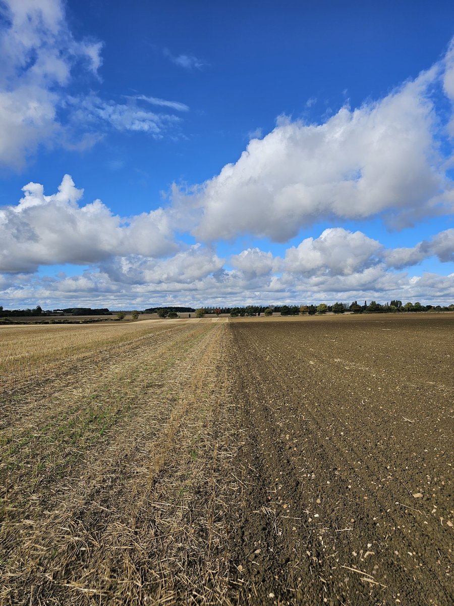 HannahVCooper's tweet image. Very lucky with the weather today! Thank you @russbmckenzie for hosting us today. Soil sampling from his long term zero-tilled and paired conventionally tilled fields @UoNFoodSystems @UoNBiosciences
