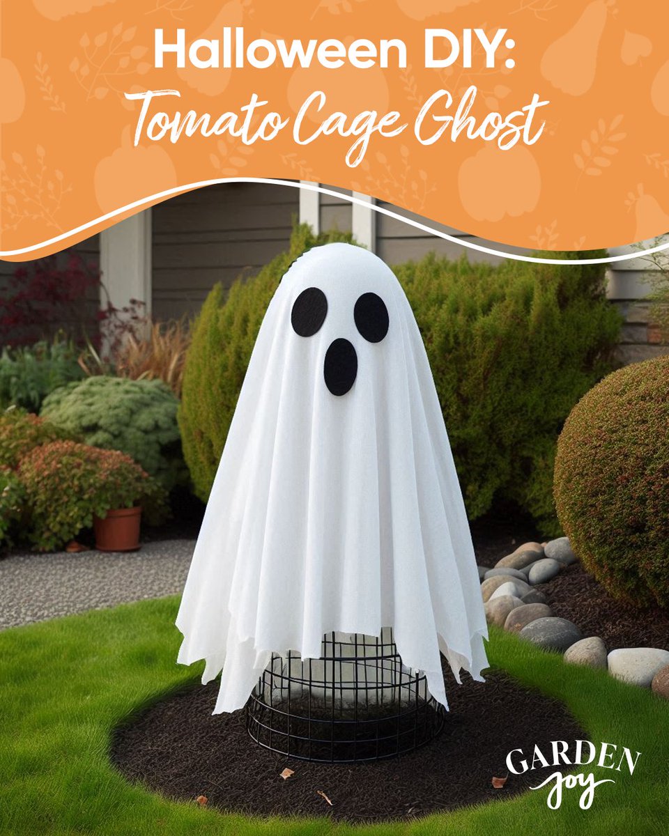 GardenJoyGame's tweet photo. Looking for an easy Halloween decoration? Repurpose your summer tomato cages to make fun ghosts for your yard! 

#halloween #halloweendecoration #fallcrafts #diyhalloween #diyprojects https://t.co/TbqAfsO2ii