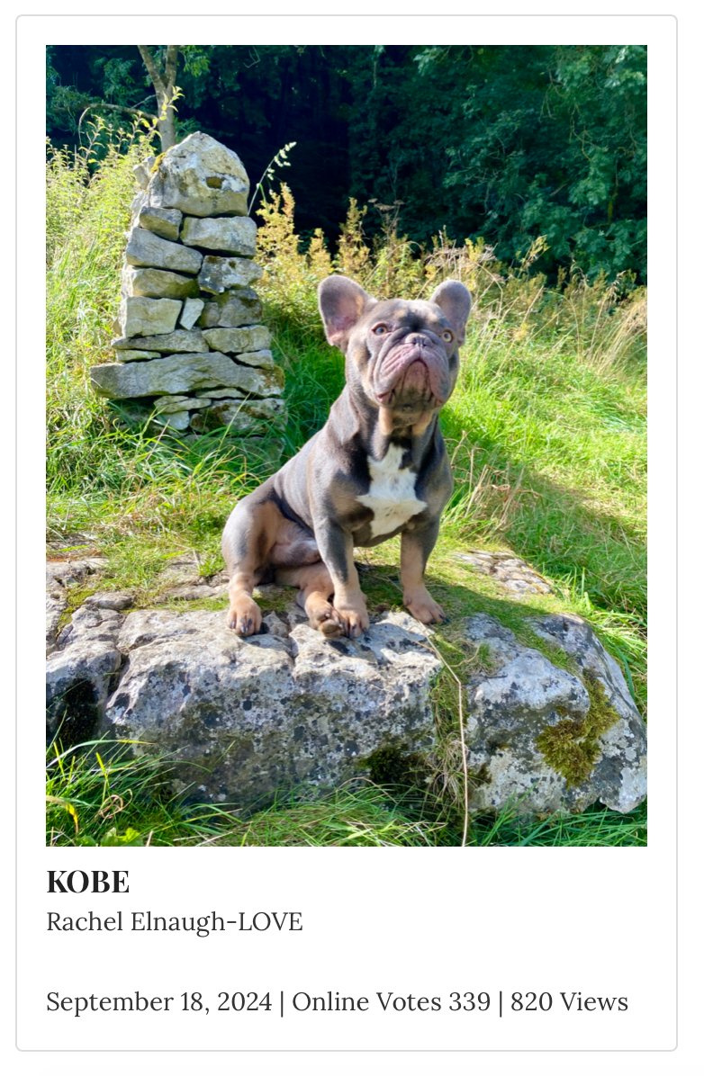 Rachel Elnaugh-LOVE tweet media