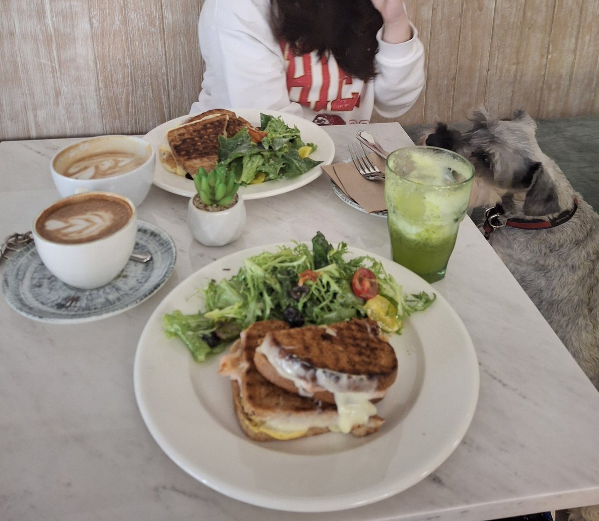CaraMiabakery's tweet photo. Después de los sustos  de los micro sismos les recomendamos unos lugares en la CDMX para ir por un pancito y una cafe:

IDDIS bakery es un café con postres y pan dulce así como venta de pastel y sus deliciosos lates de lavanda 
UBICADO EN campeche 410  col. Condes esq. Amatlan https://t.co/P3EvpfCta4