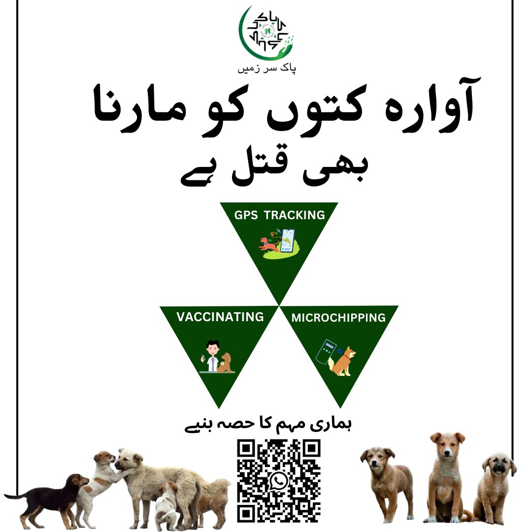 paksarzameenfnd's tweet photo. We’re excited to announce the launch of a groundbreaking project to protect and care for every stray dog in Bahawalpur, Pakistan.

#SafeBahawalpur #CompassionInAction #AnimalWelfare #paksarzameen #abdullahtanseer https://t.co/Kgb7gaUhPu