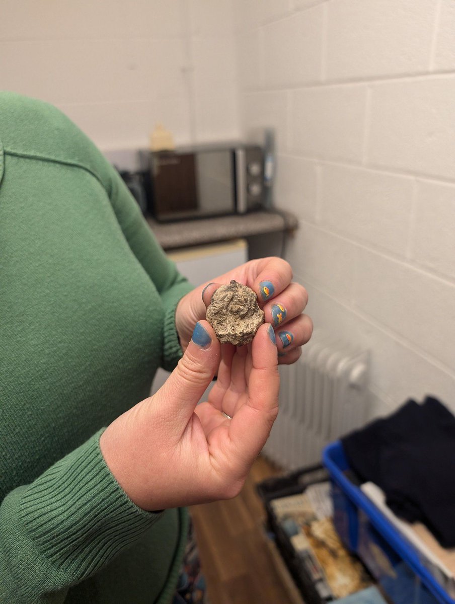 The case of the Poulton coprolite continues! The initial impression of zooarchaeologist Hannah Russ is that the ancient poo is probably human! This is a rare find indeed! The owner of this bowel movement would have no idea of the impact two millennia later! #coprolite #poulton
