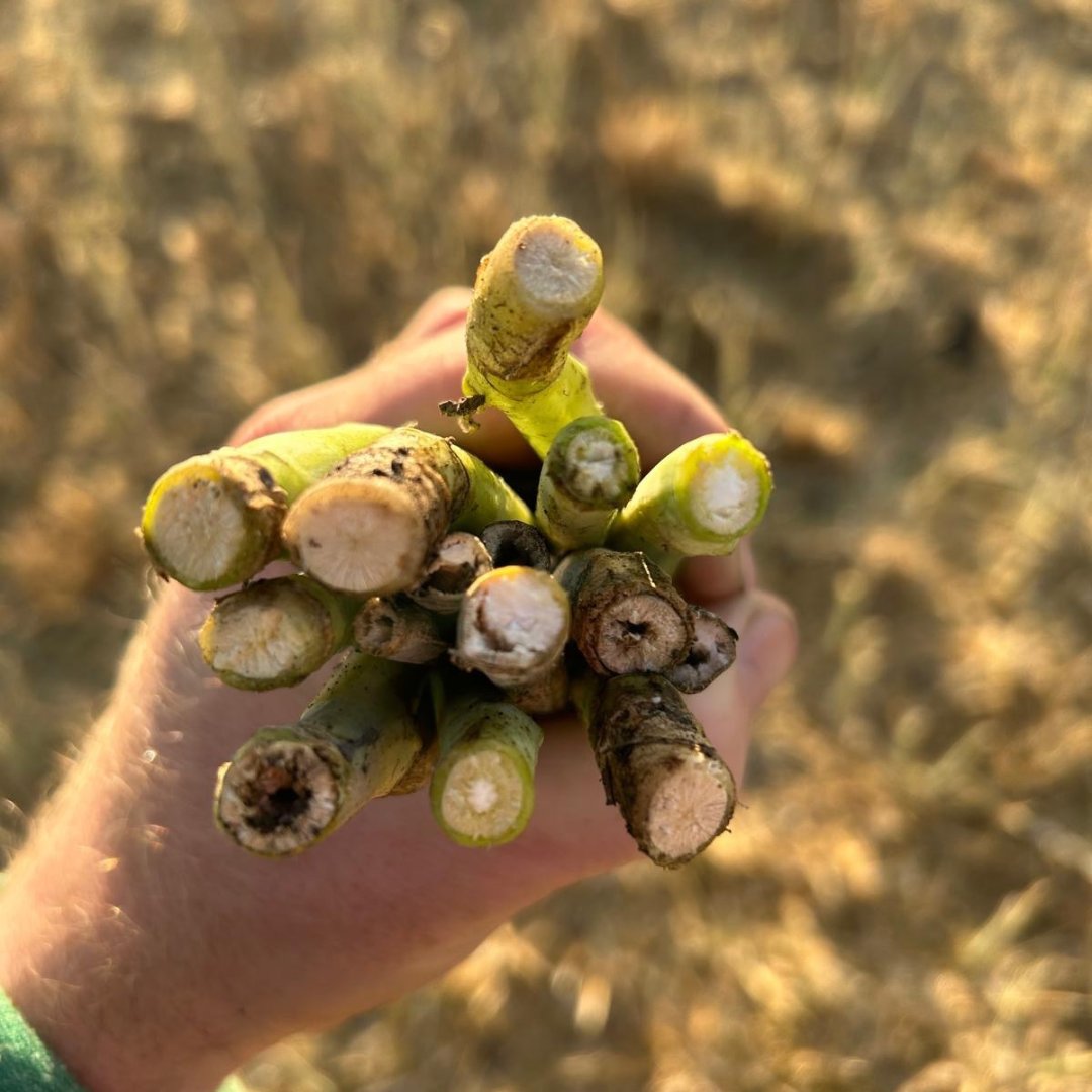 Crop Management Network Inc. tweet media