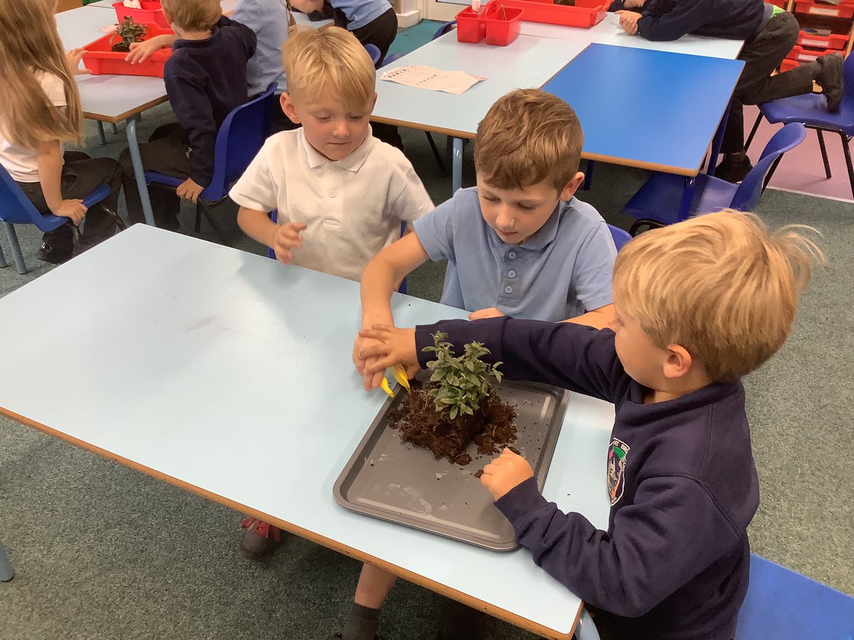 Leopards Class tweet media