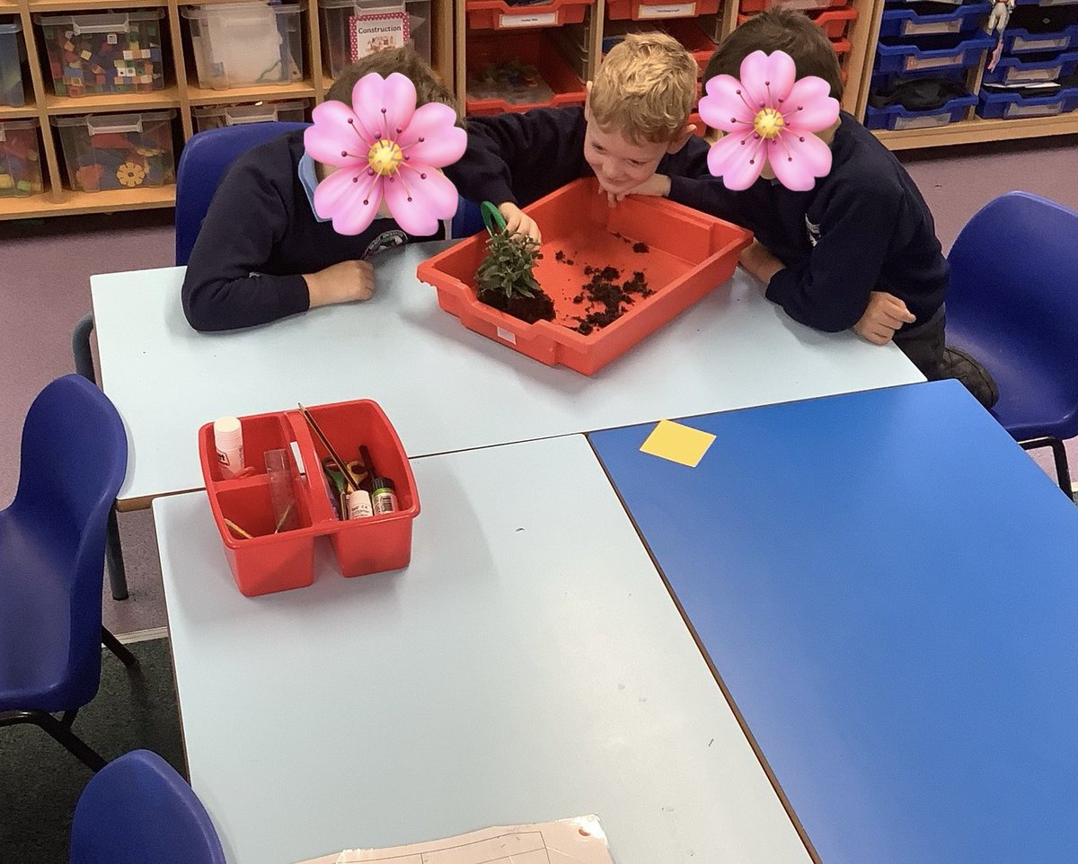 Leopards Class tweet media