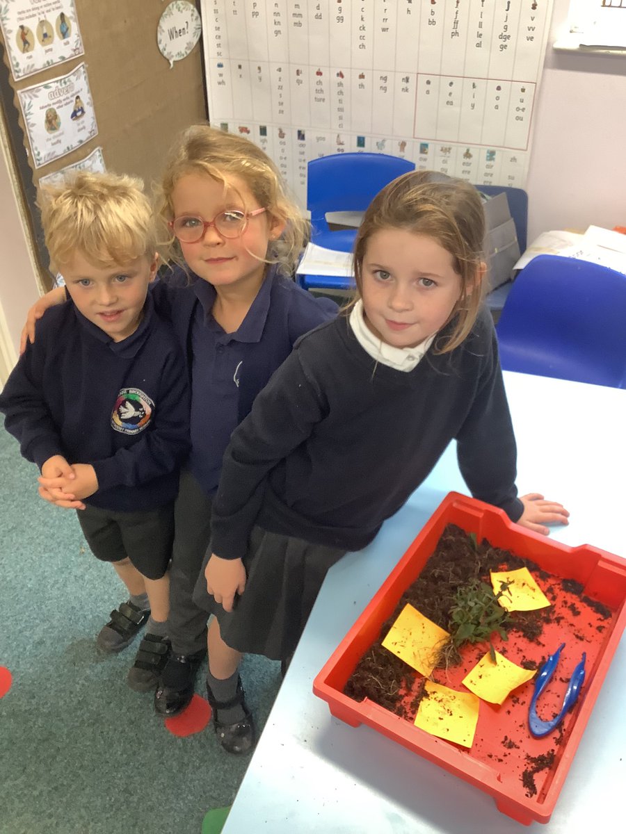 Leopards Class tweet media