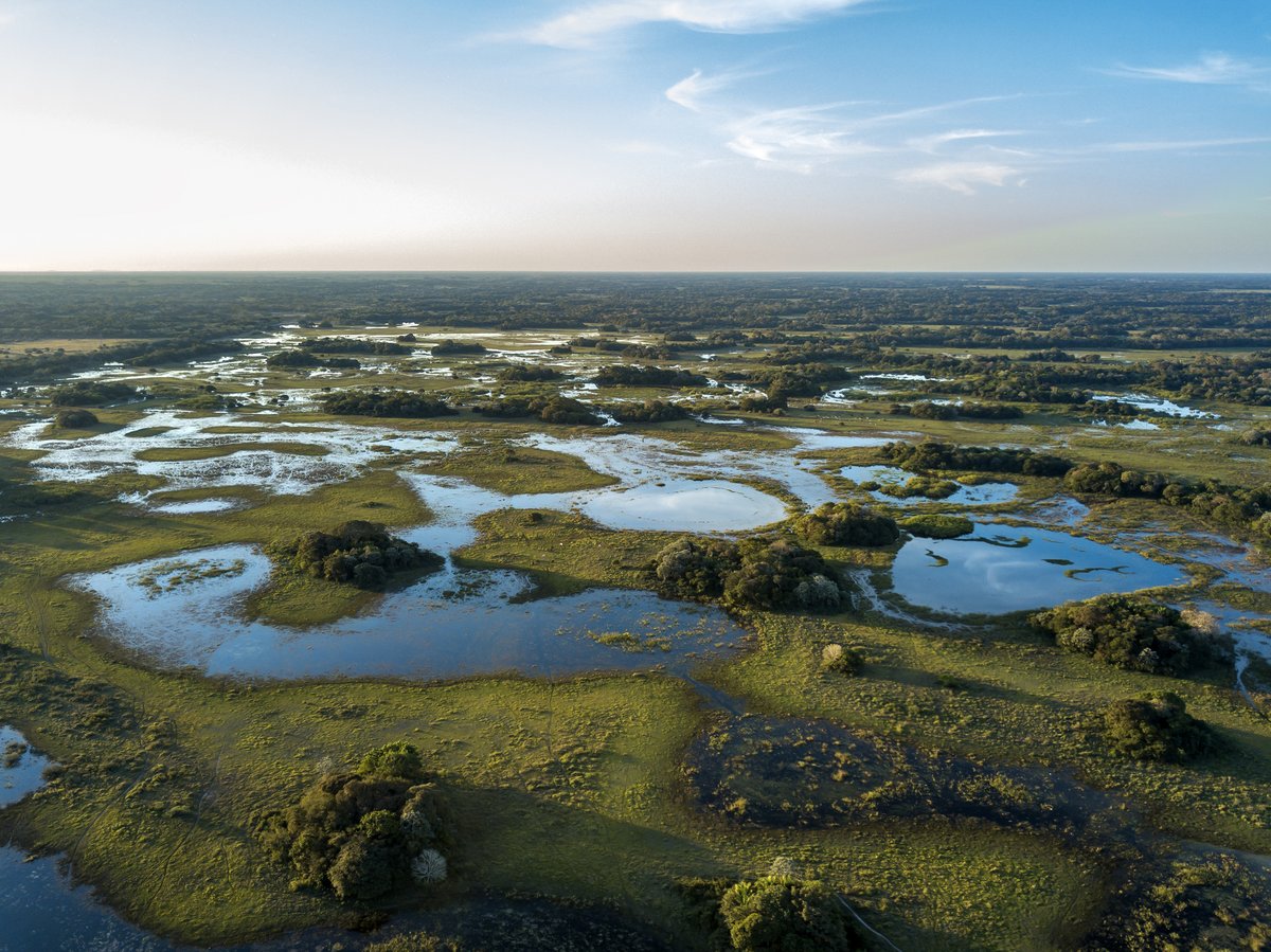 The variety of life on Earth keeps us resilient and thriving, but biodiversity is under threat.

If we act now, we can reverse course. Our Financing Nature report shows how to invest for the world we want: PaulsonInstitute.org/financingnature