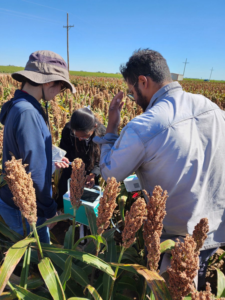 SainiDK10's tweet photo. @MayankP24361375 is sharing his expertise with @yusaichinose and @Teja_2810 on the #LICOR6800🥳🙌. Two more experts in the making!🫡🤞 🔬 #Photosynthesis #CropForageSystemsLab @KJagadish_TTU @ISomayanda https://t.co/DT5ilFnJJb