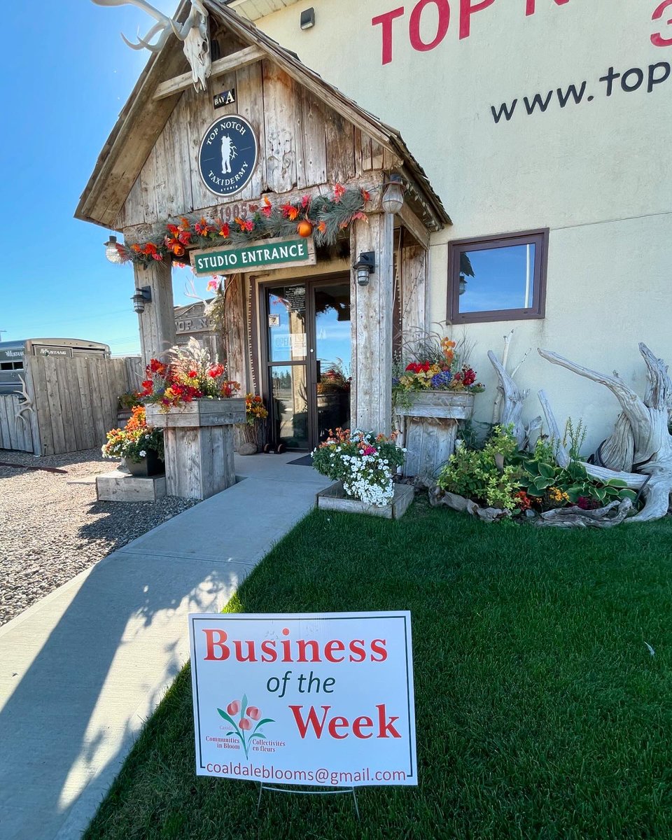 topnotchwiebe's tweet photo. The Wiebe’s at Top Notch Taxidermy are super appreciative of this recognition from the community of Coaldale. 

We take great pride in beautifying our business sector and bringing enjoyment to others! @CoaldaleAB https://t.co/X3l4lzAVYE