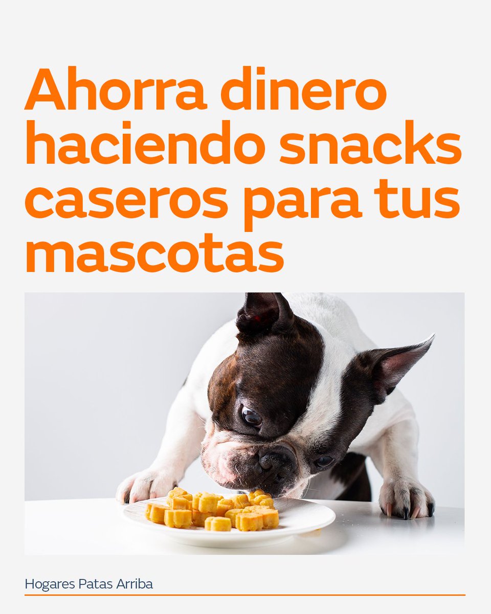 NaturgyClientES tweet media