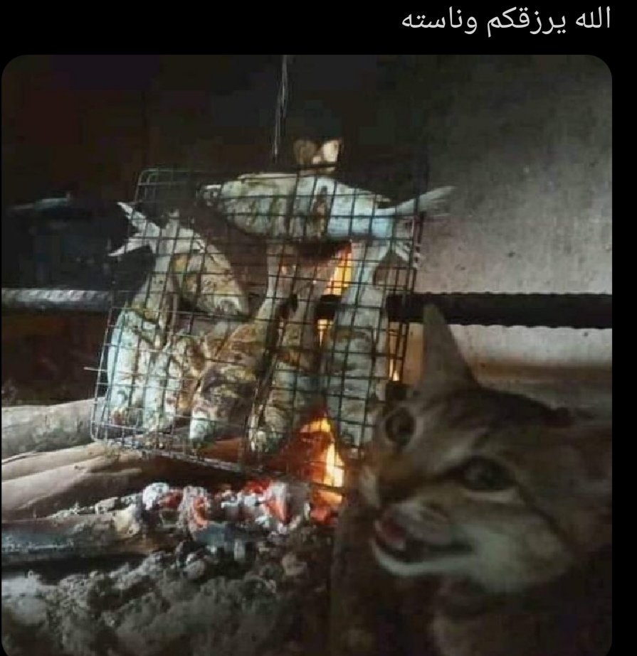 CARTER PEWTERSCHMIDT (@m0x_3) on Twitter photo 