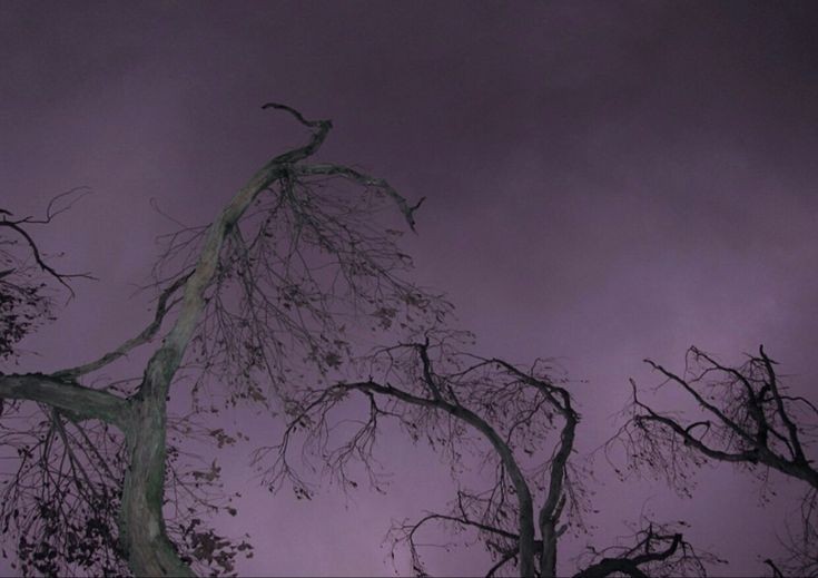 Dr. Fabulous (@cutestgiriiever) on Twitter photo 