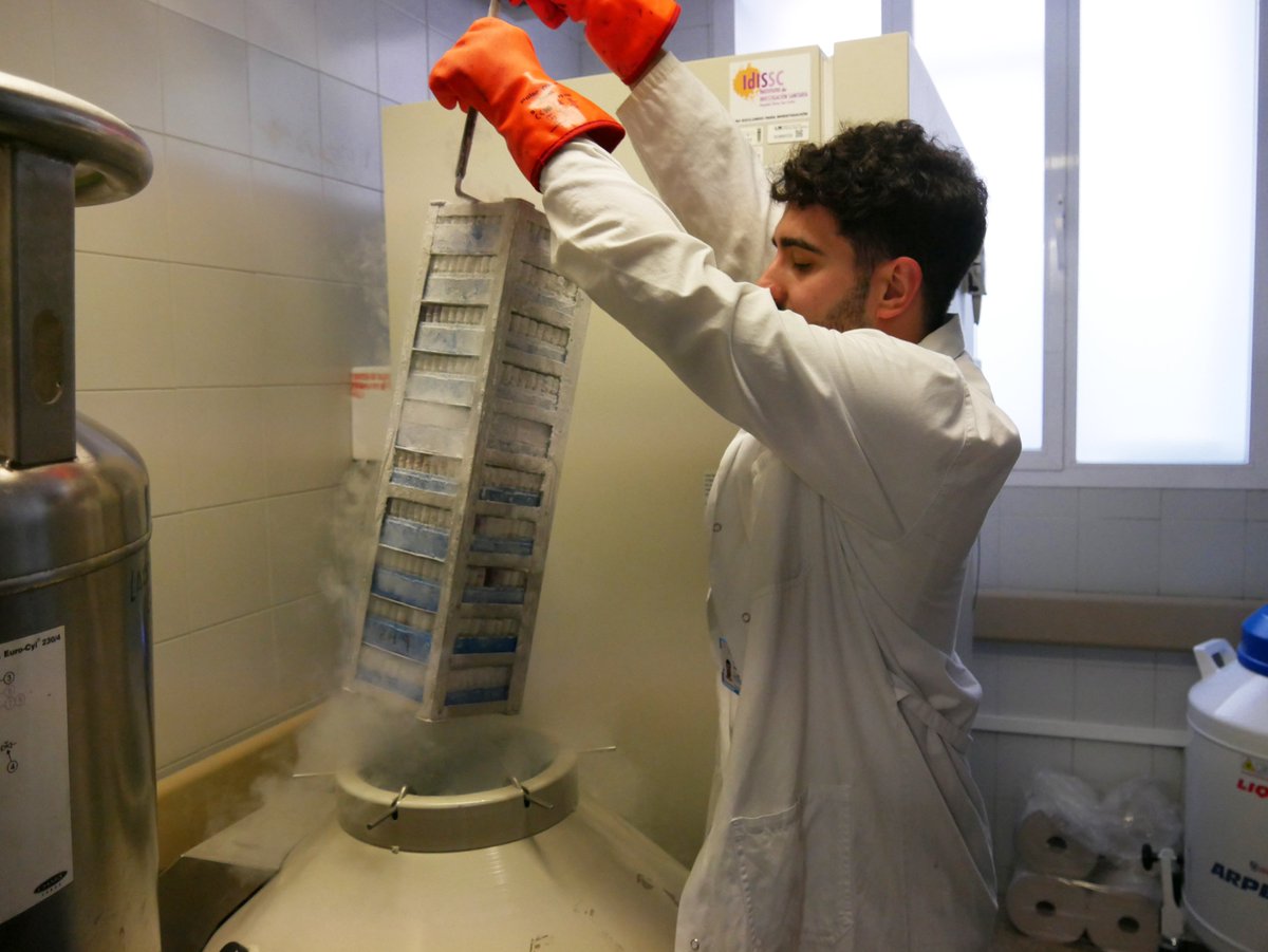 IIS_IdISSC's tweet photo. ✅🤩Primer día concluído en la #NocheEuropeaInvestigadores @IIS_IdISSC con la actividad del @Labgencomplejas @seec_conchita 

#somosclinico #NightMadrid #EuropeanResearchersNight 
@madrimasd @MSCActions https://t.co/2yIi7RUNE4