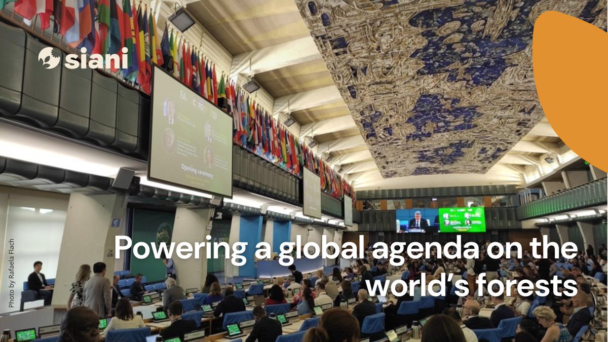 SIANIAgri's tweet photo. NEWS STORY ⎮
@rafaelaflach at #COFO27 dives into the need to protect forests, vital for #biodiversity &amp; #FoodSecurity. 

Also looking forward to #COP16, crucial to address the impact of consumption &amp; monitor #SupplyChains for forest &amp; biodiversity losses.
https://t.co/Q2oVqexfj4 https://t.co/wjDerWwFnd