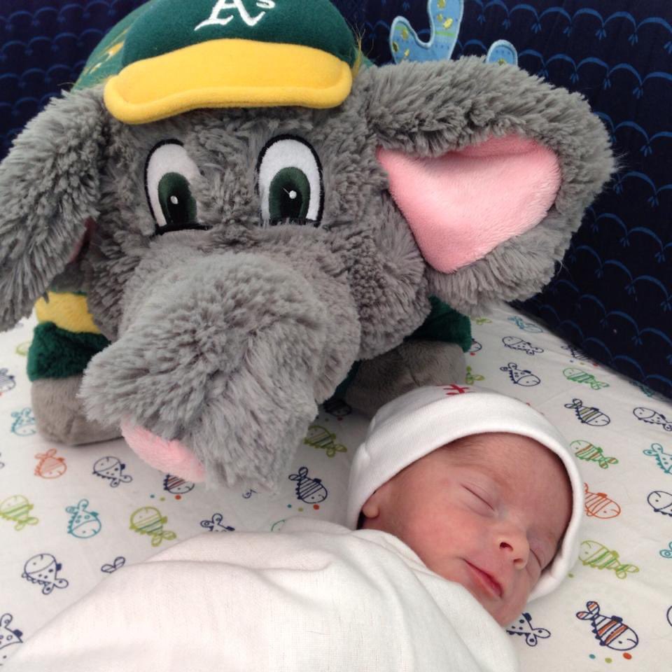EdwardMMarcel's tweet photo. Dear Alex,

This post is for you. Someday in the future you’ll be searching your parents social media profiles, and when you do your memories of the A’s may have faded away. I hope these old pictures help you remember how much fun we had at the Oakland Coliseum together... https://t.co/ohtqZzDfVU