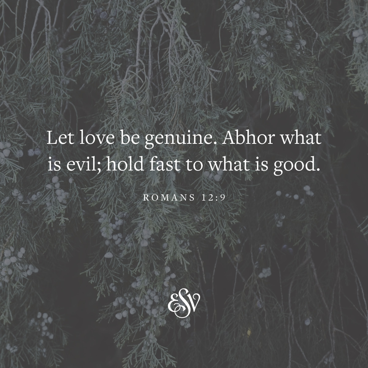 Crossway tweet media