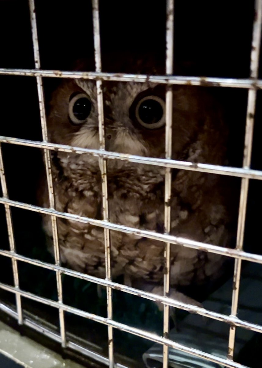 City of Largo, FL tweet media