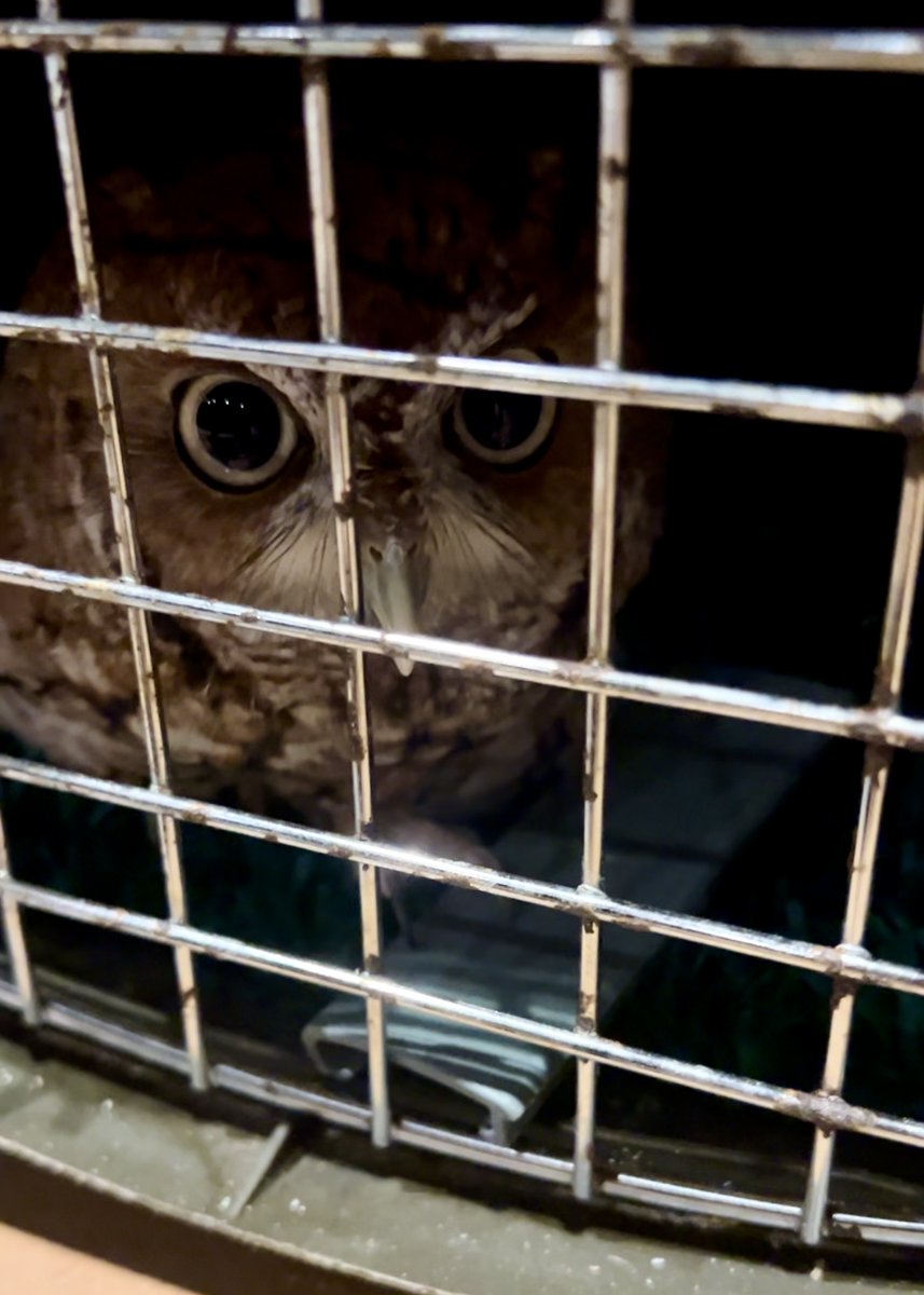 City of Largo, FL tweet media