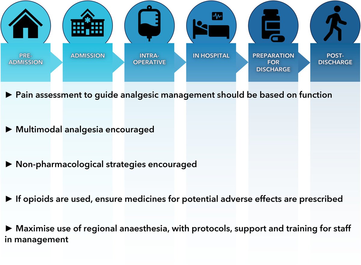 𝘈𝘯𝘢𝘦𝘴𝘵𝘩𝘦𝘴𝘪𝘢 tweet media