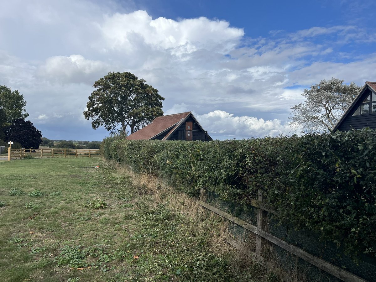 Rob Thurkettle tweet media