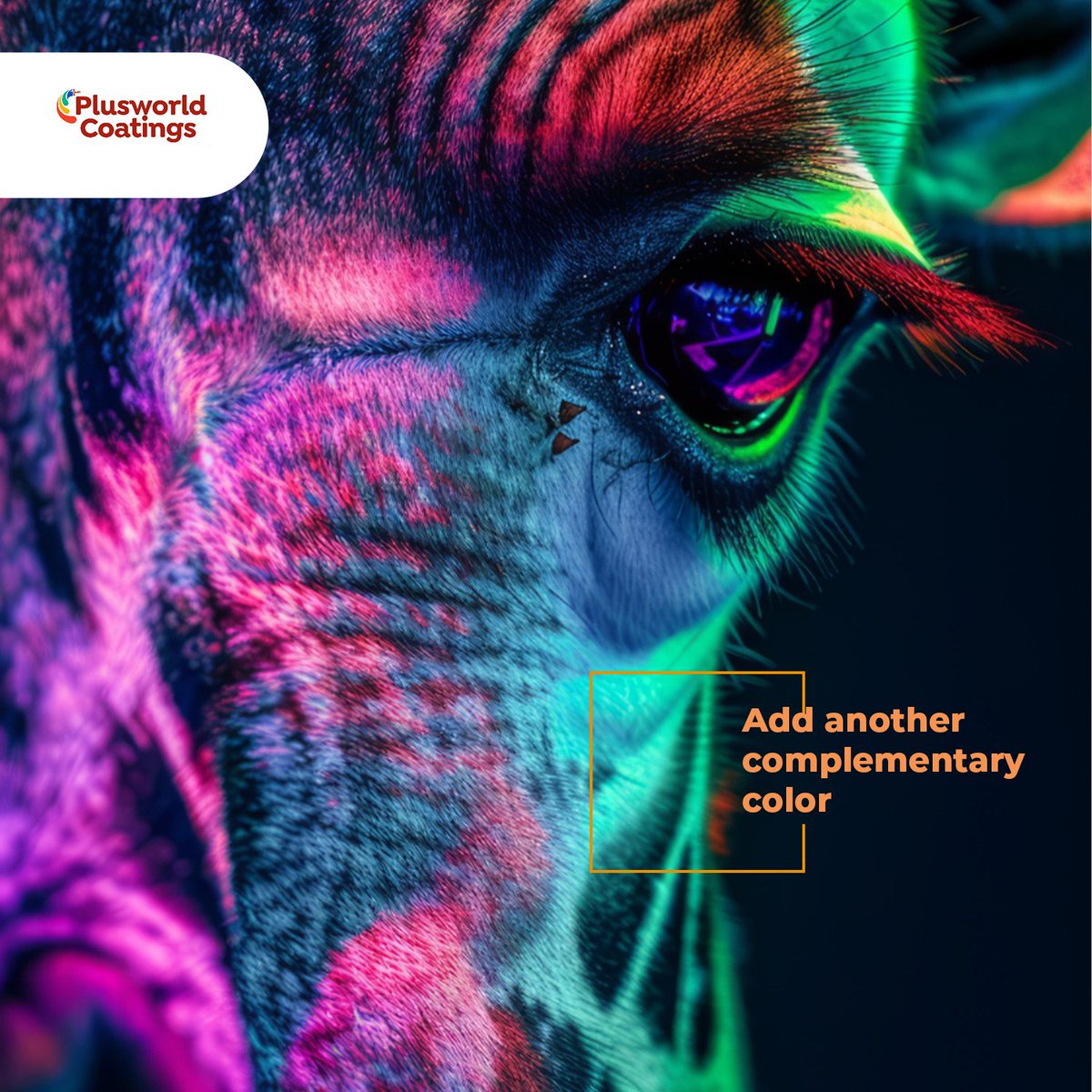 PlusworldCoatin's tweet photo. This look very beautiful but we want your creativity in it. If you are to choose another complementary color to this, what color will it be? Let’s know in the comment section below. https://t.co/iY4gnoPVhO