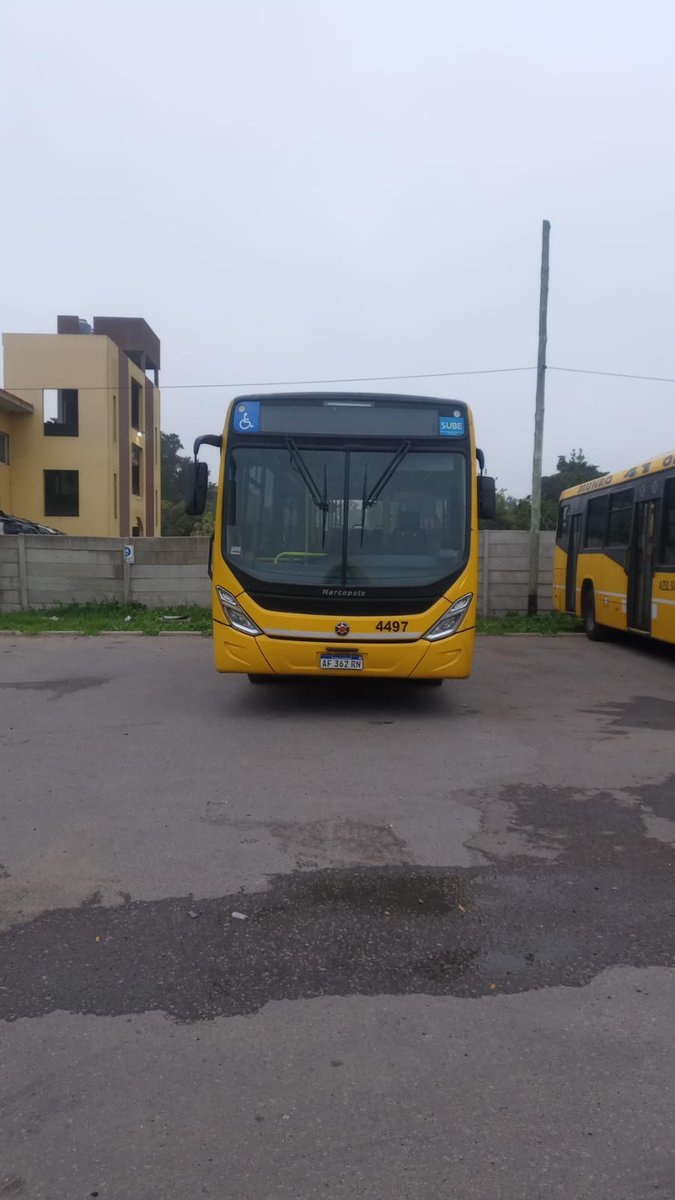 r_gonzalezok's tweet photo. Finalmente después de tantos rumores, con la llegada de los Cittá 1721 para la 41, los Marcopolo Torino Low Entry/Mercedes O500U van para la cabecera Pilar de la 203

@AtrasMire @thebondis @CiudadDeBondis @BondisYan @sponsorbondi https://t.co/jUrPW8RUDu