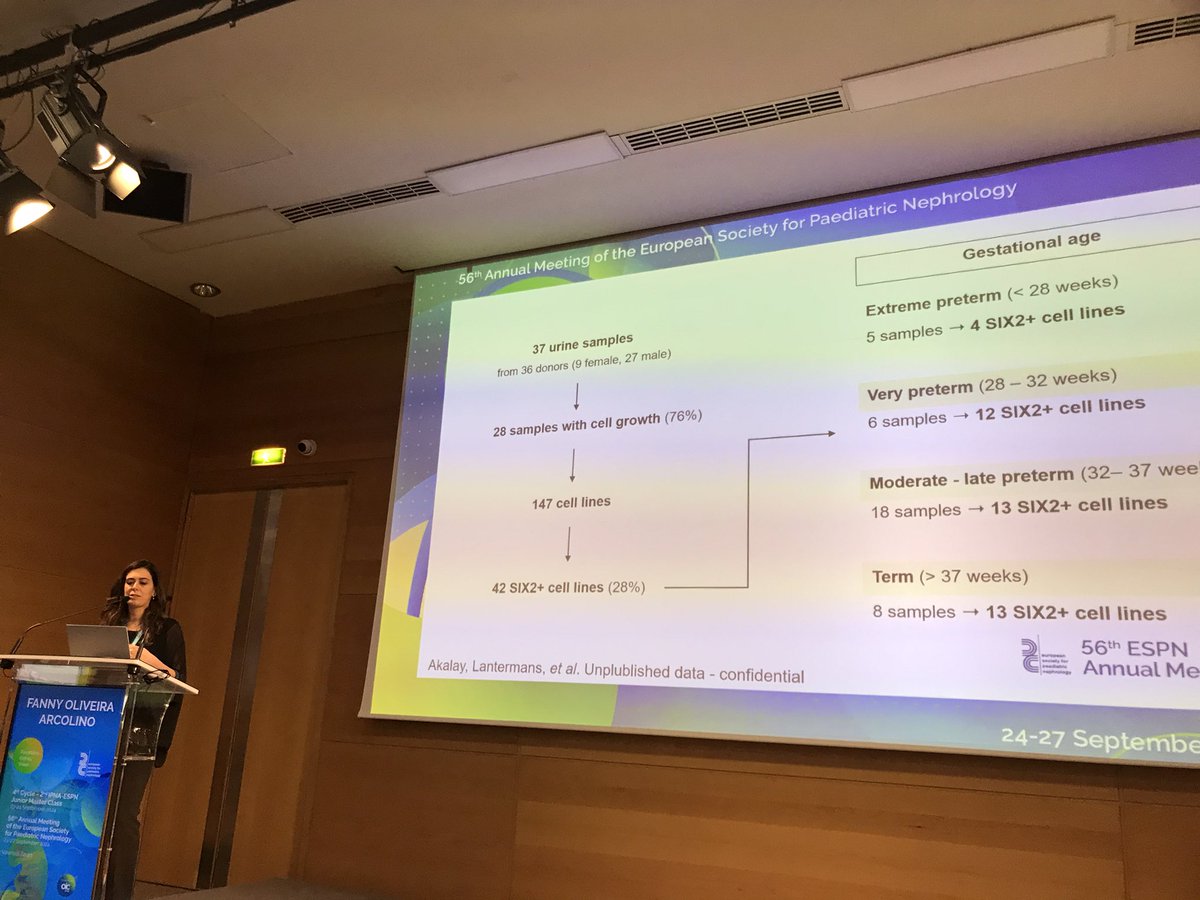 SannaCherchiLab's tweet image. Building a bio bank of kidney progenitor cells from urine of pre-term babies to resolve the timeline of nephrogenesis arrest .. and more !
Fanny Oliveira Arcolino
#ESPN2024 #CAKUT #kidneydevelopment #pretermbabies 
@ESPNSociety @thePNRC @ASNKidney @ASPNeph @IPNA_PedNeph…