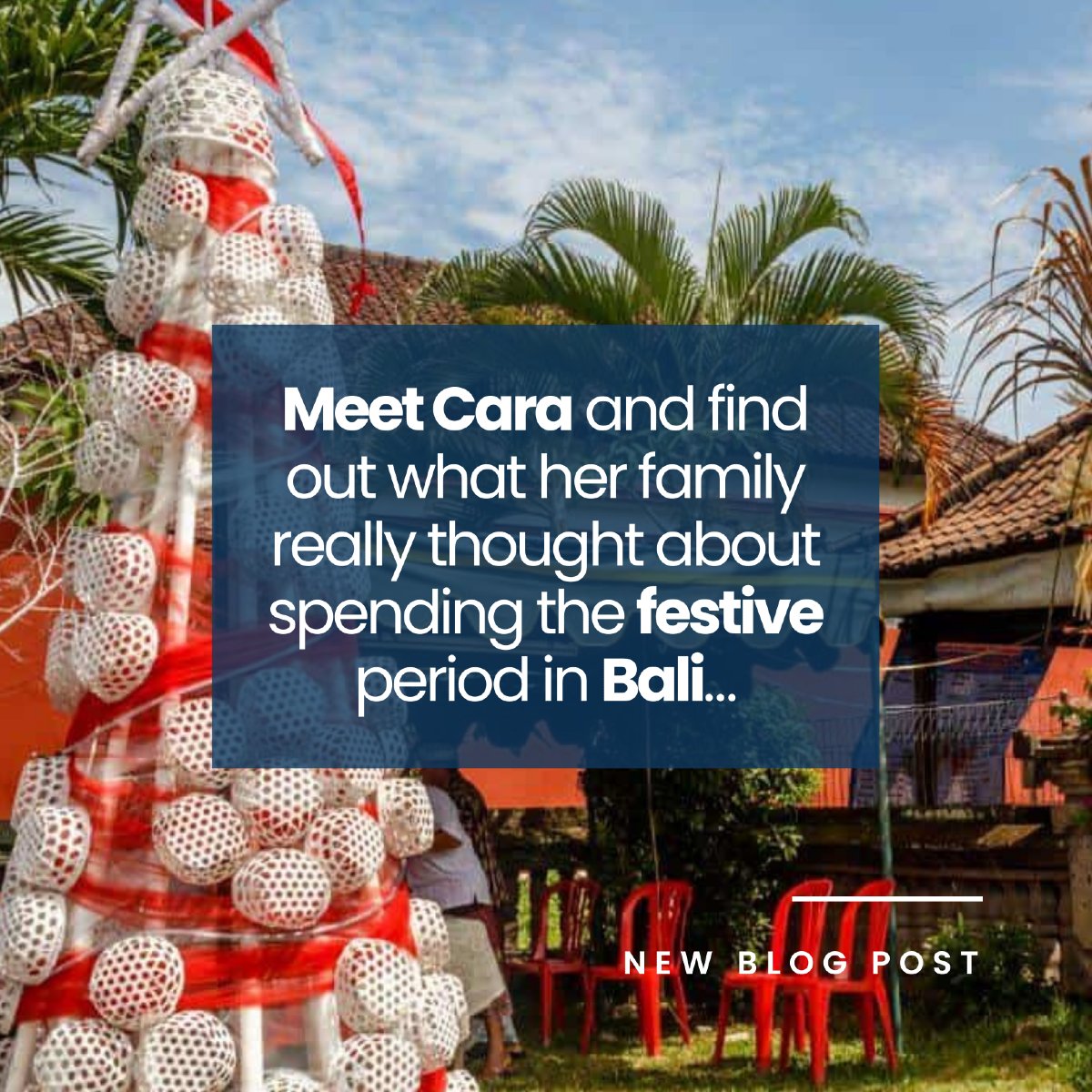 Boundless Life tweet media