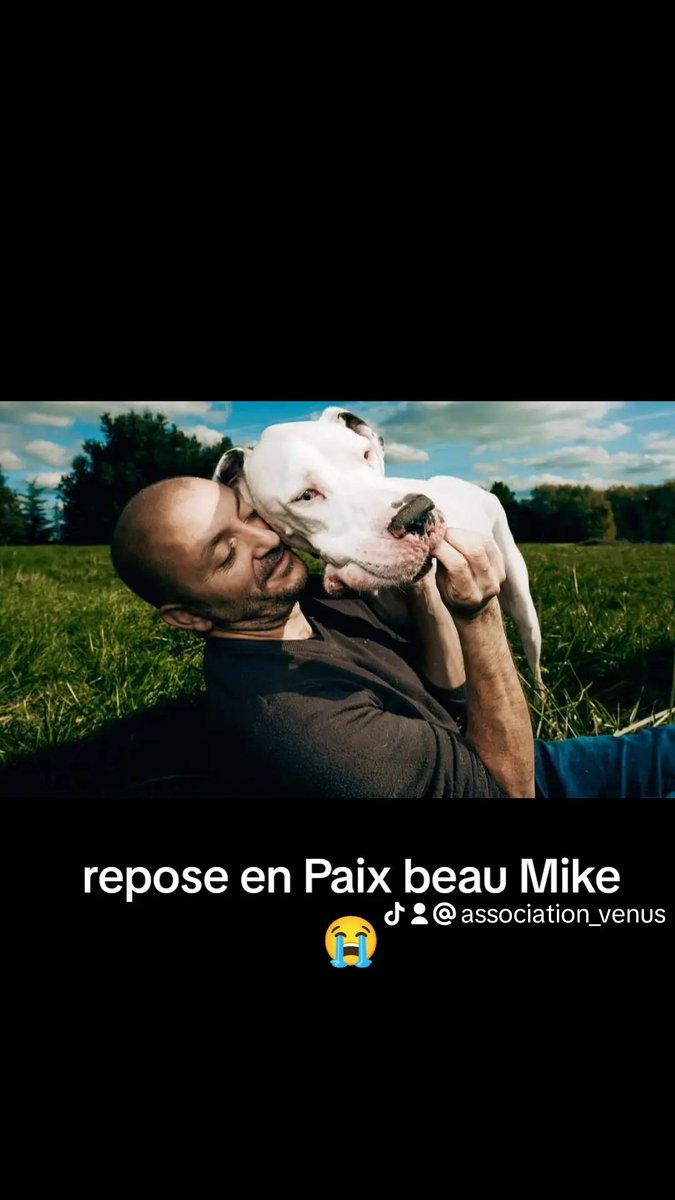 assovenus's tweet photo. Adieu mon beau Mike toi qui était la mascotte de notre association https://t.co/TddjsoR8Fy