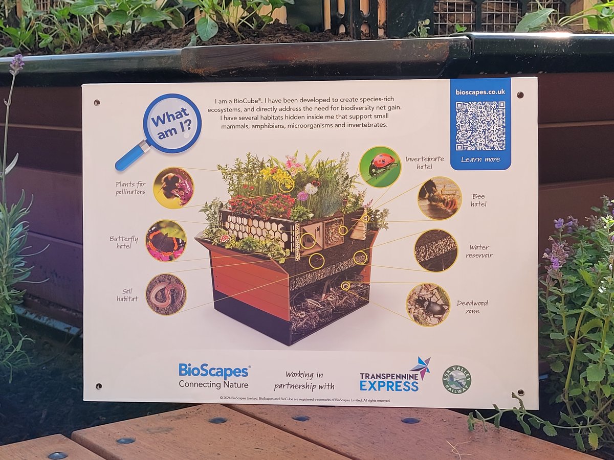 EVRDC's tweet photo. Working with Terry Smithson at #BioScapes, the #EskValley Station Adpoters had a great day at #MiddlesbroughStation planting up the new BioCube Ecosystems. Many thanks to Terry for his help and to Steve Gilder at #TransPennine for inviting us to get involved with this project. https://t.co/Za6Ku7qFCQ